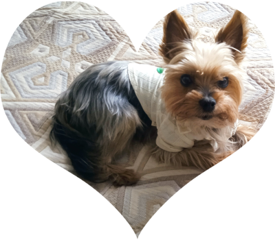 Все фото автора, с любовью 💗