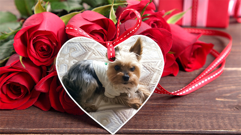 К всем вам с любовью