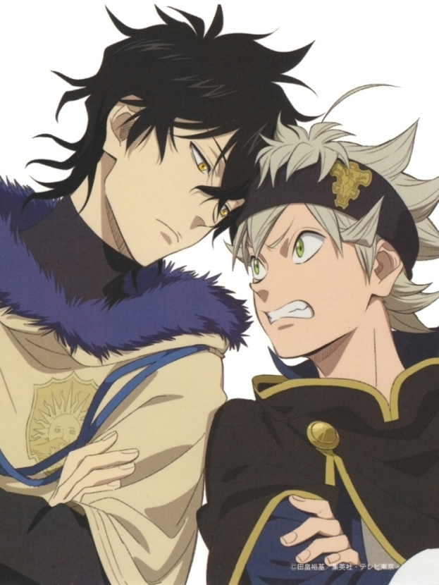 Чёрный клевер