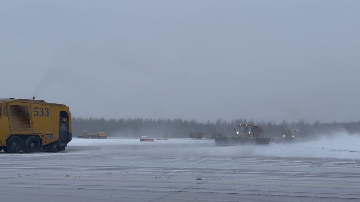 Фото: комитет по транспорту Петербурга