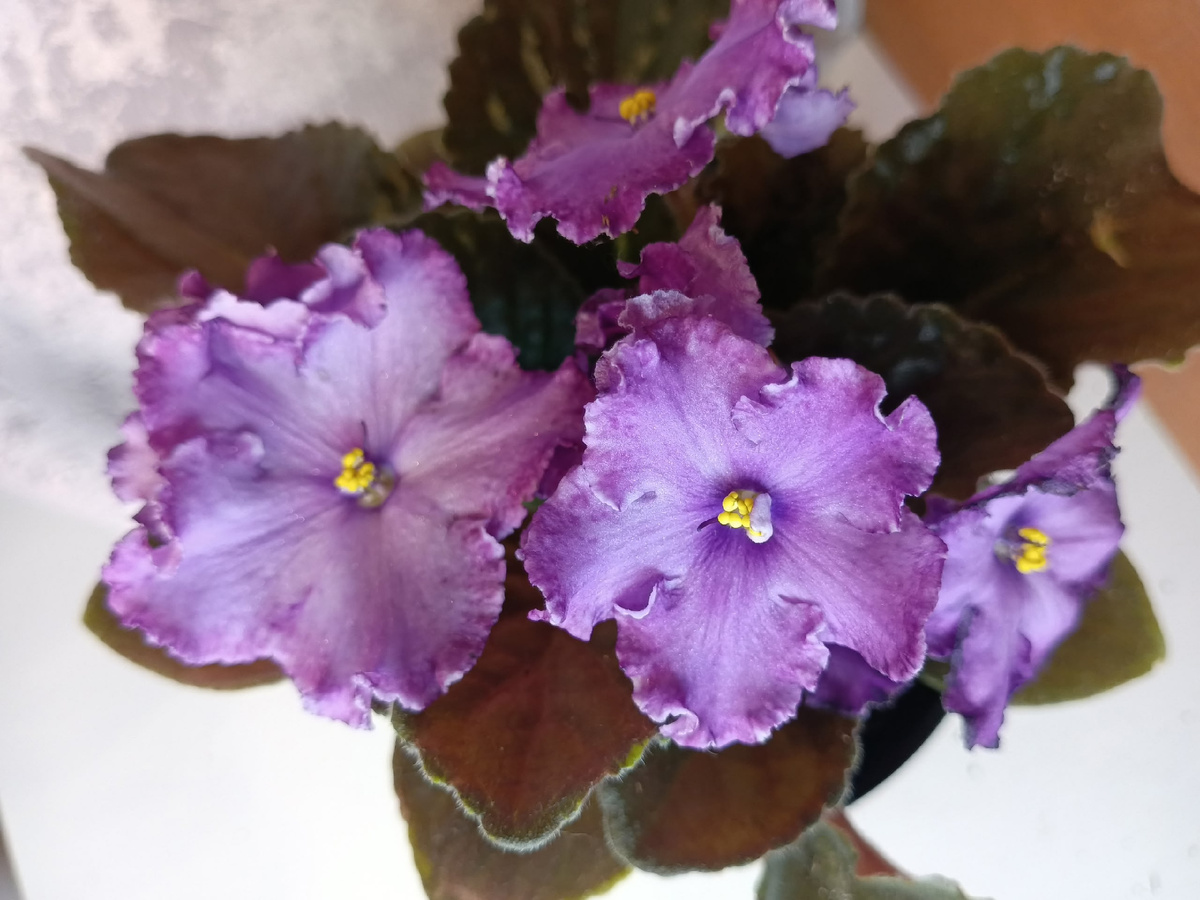 Личное фото