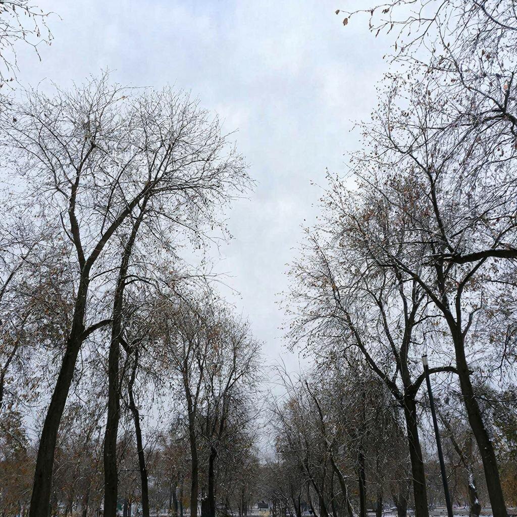    Картинка сгенерирована ИИ Elena Maltseva