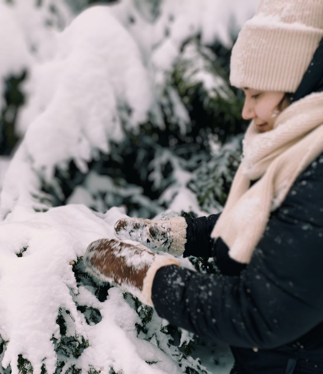 Одна из дачных фотографий с той поездки. Январь 2026