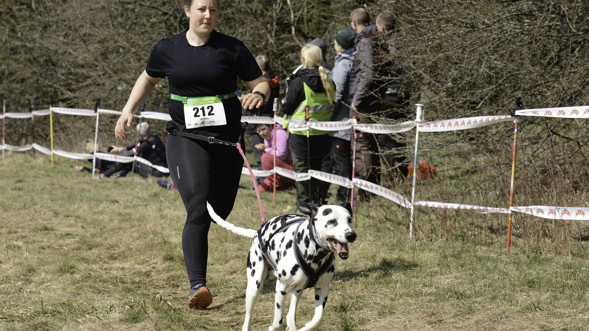    Каникросс — это летняя спортивная дисциплина, имитирующая ездовой спорт