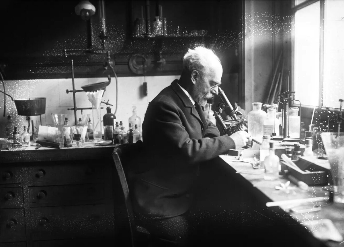 Фото из открытых источников