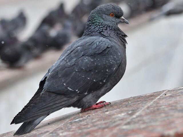    Фото: портал мэра и правительства Москвы/Юлия Иванко