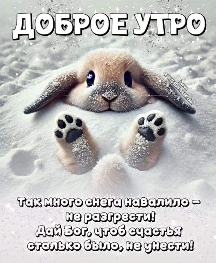 Картинка из открытого источника в интернете.