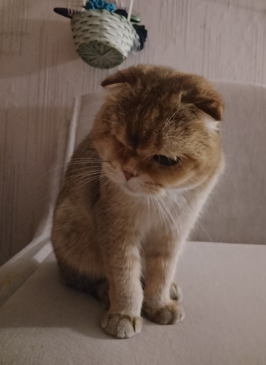 Наташ, ты меня с каждым днём удивляешь всё больше. Если так дальше пойдет, не знаю, стоит ли нам оставаться вместе... Уйду я от тебя, Наташа... 