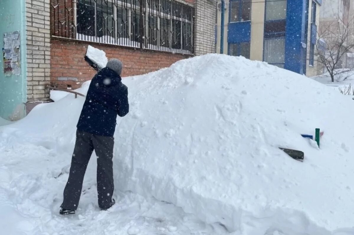    Тулякам предложили помочь в уборке территории