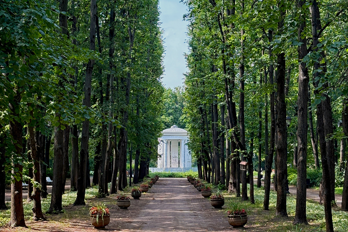 Изображение: national-expertise.ru