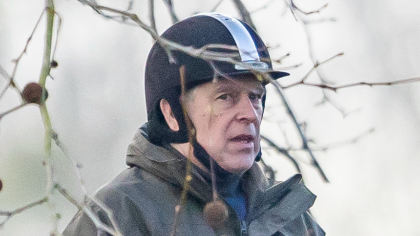    Фото: www.globallookpress.com/Marcin Nowak; 5-tv.ru