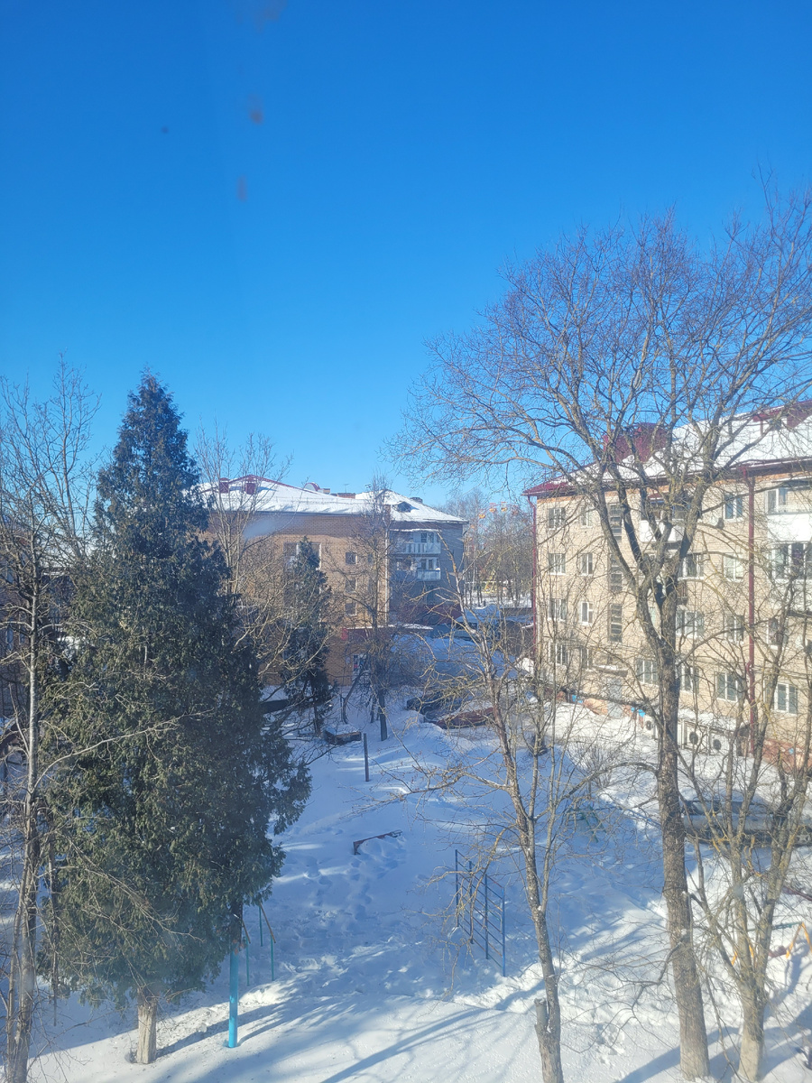 Вид из окна 