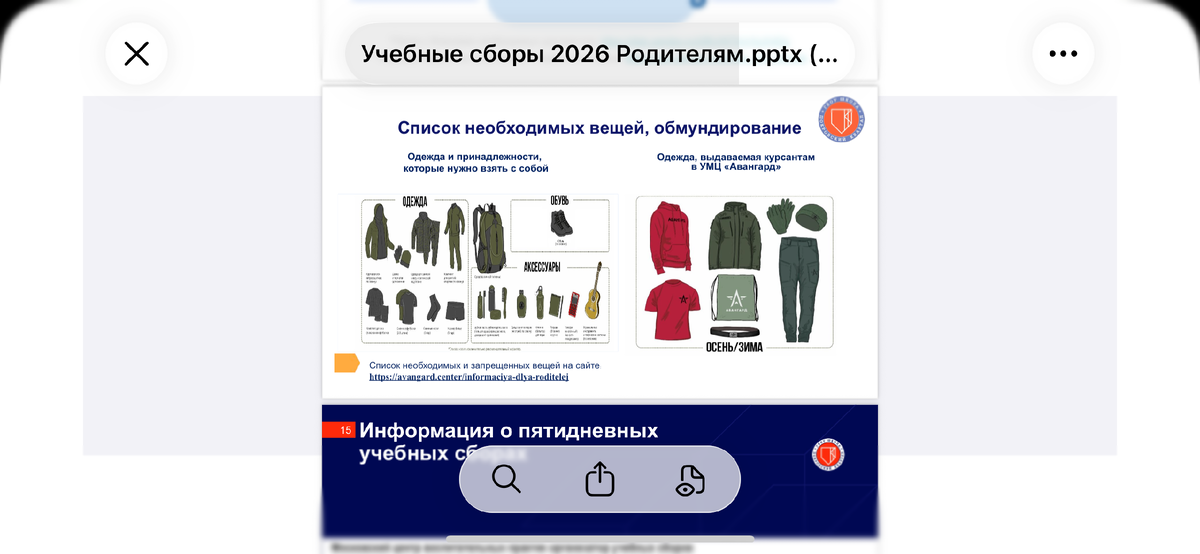 Список необходимых (в реальной жизни - ненужных) вещей на сборы. Купили костюмы, куртку, обувь, чтобы бегать по лесам и снегам. Телефон кнопочный (смартфоны нельзя). Повеселила гитара. Гитару не купили )))