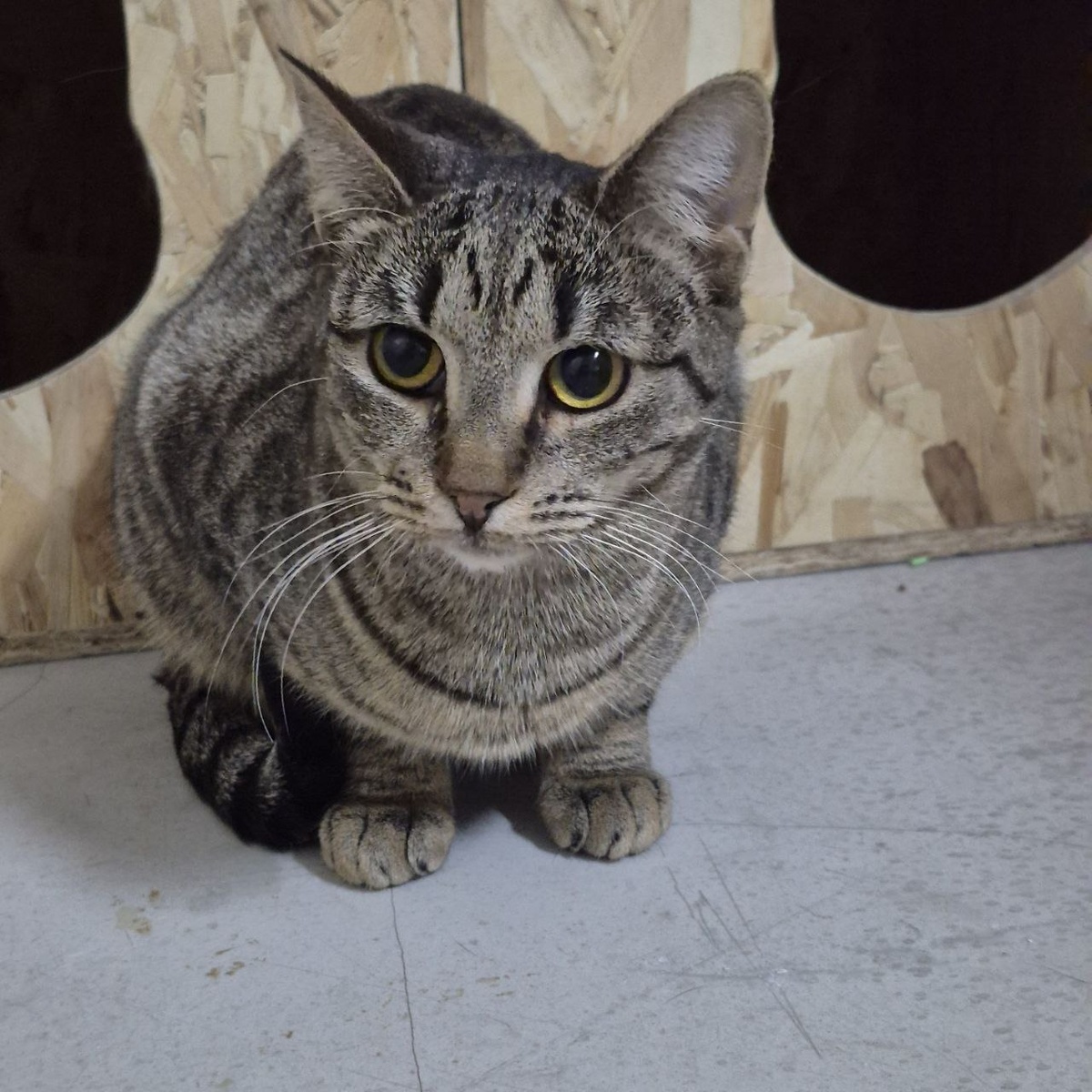 Вот Марисе бы просто домой