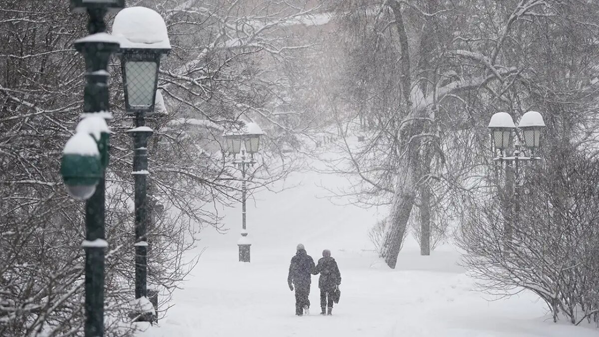    Погода. Александр Авилов / АГН Москва