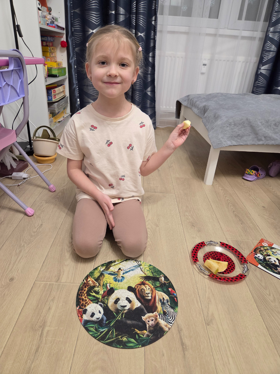 Новый деревянный пазл на 160 деталей