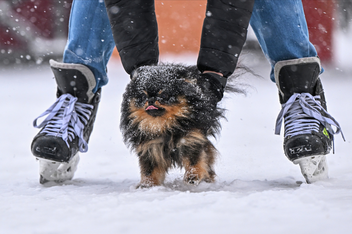    Москва зима снег РИА