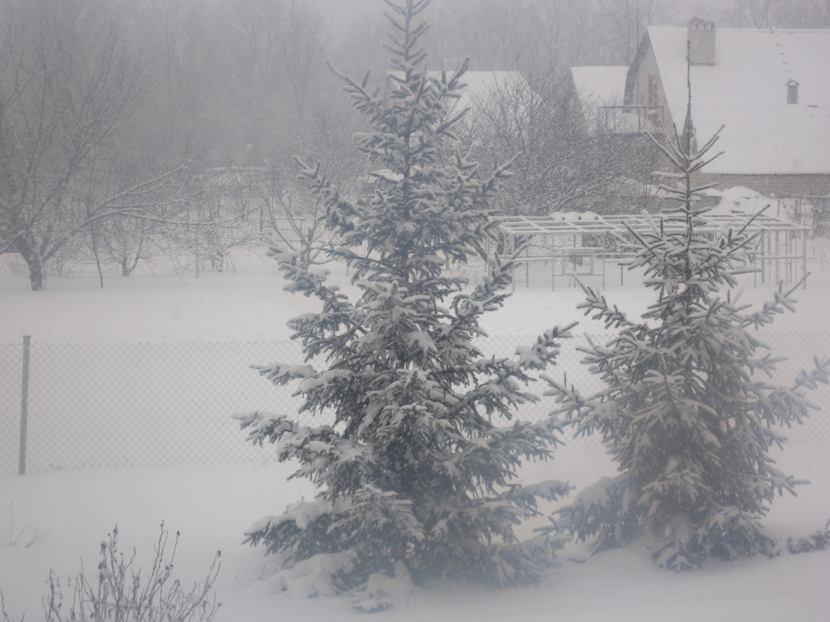 Пригород заметает