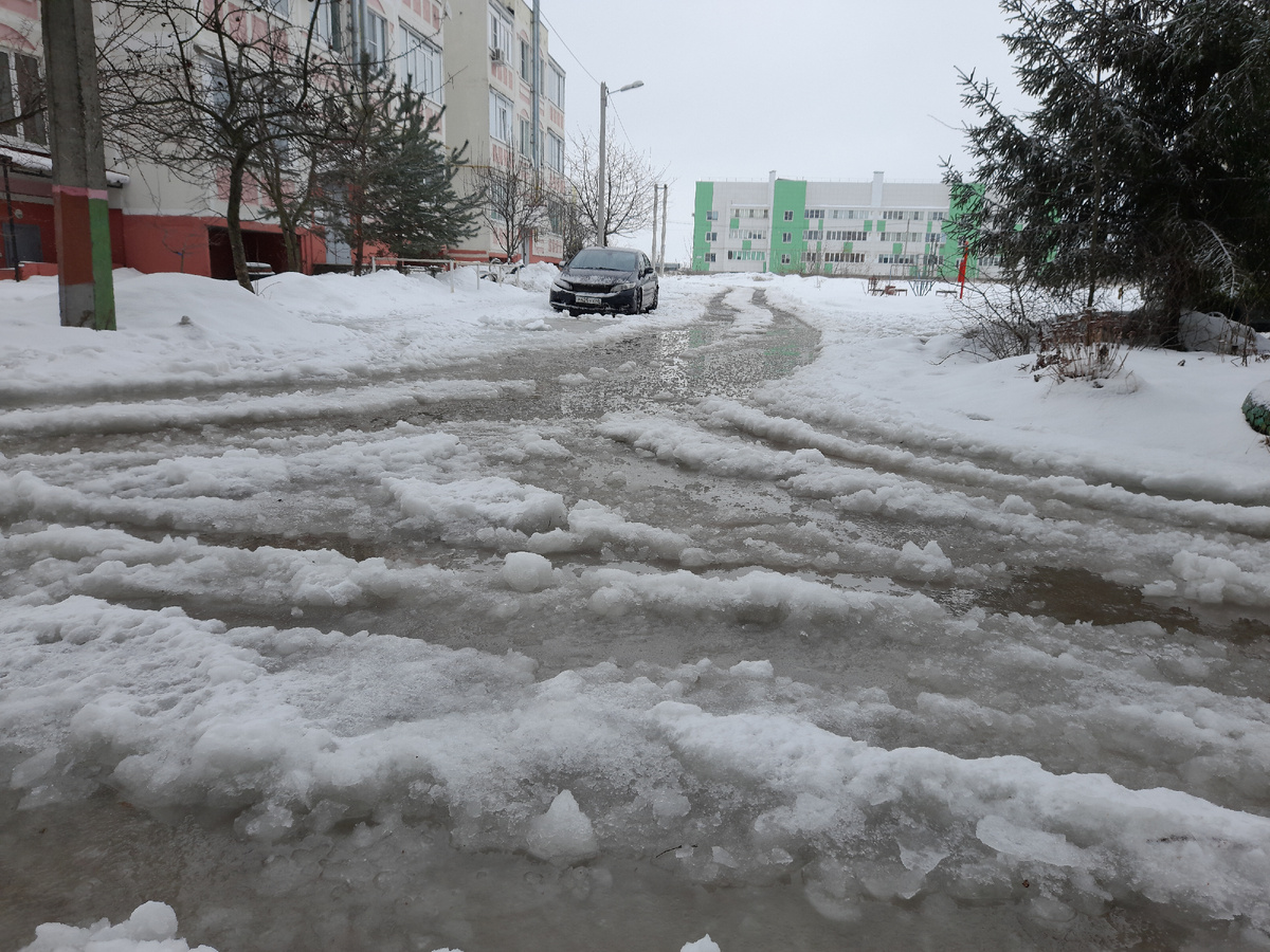 Так было два дня назад. Потом ночью "вдарил" морозяка. А сегодня все завалило снегом.