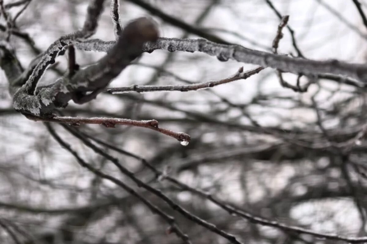    20 февраля: день тишины, запретов и народных примет