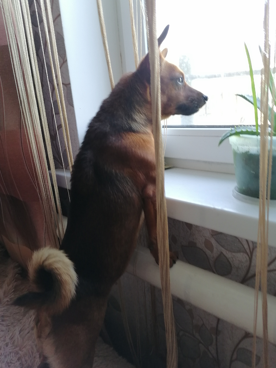 Ну где же ты, а вдруг не вернёшься.... Ааа