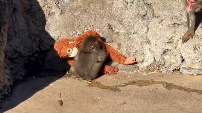 Обложка © Х / tate_gf