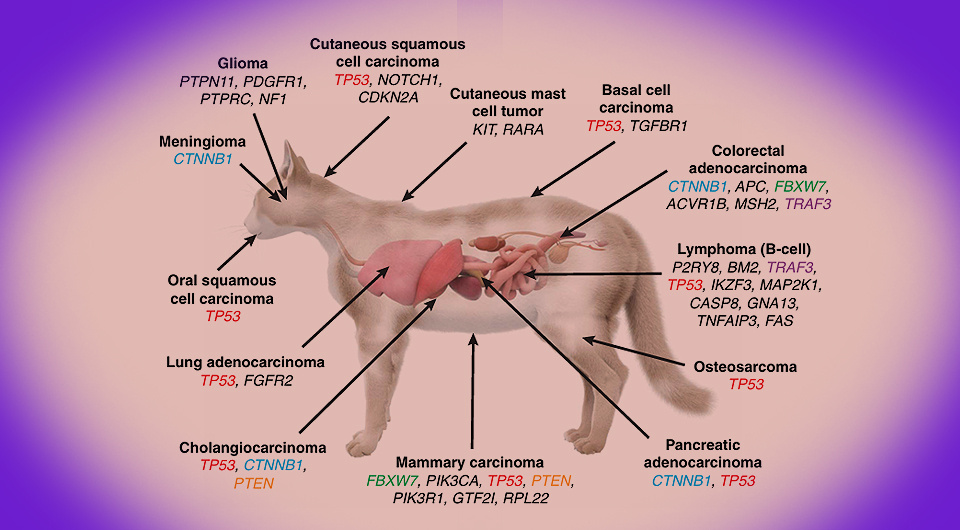   N+1; Francis et al. / Science, 2026