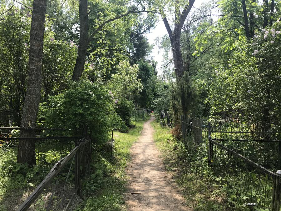 Главная аллея старого участка кладбища Хатунь