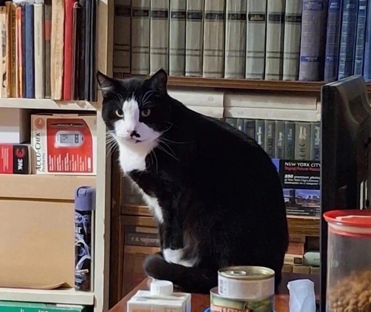 Я Масик, я очень нежный, ласковый, любвеобильный 💕