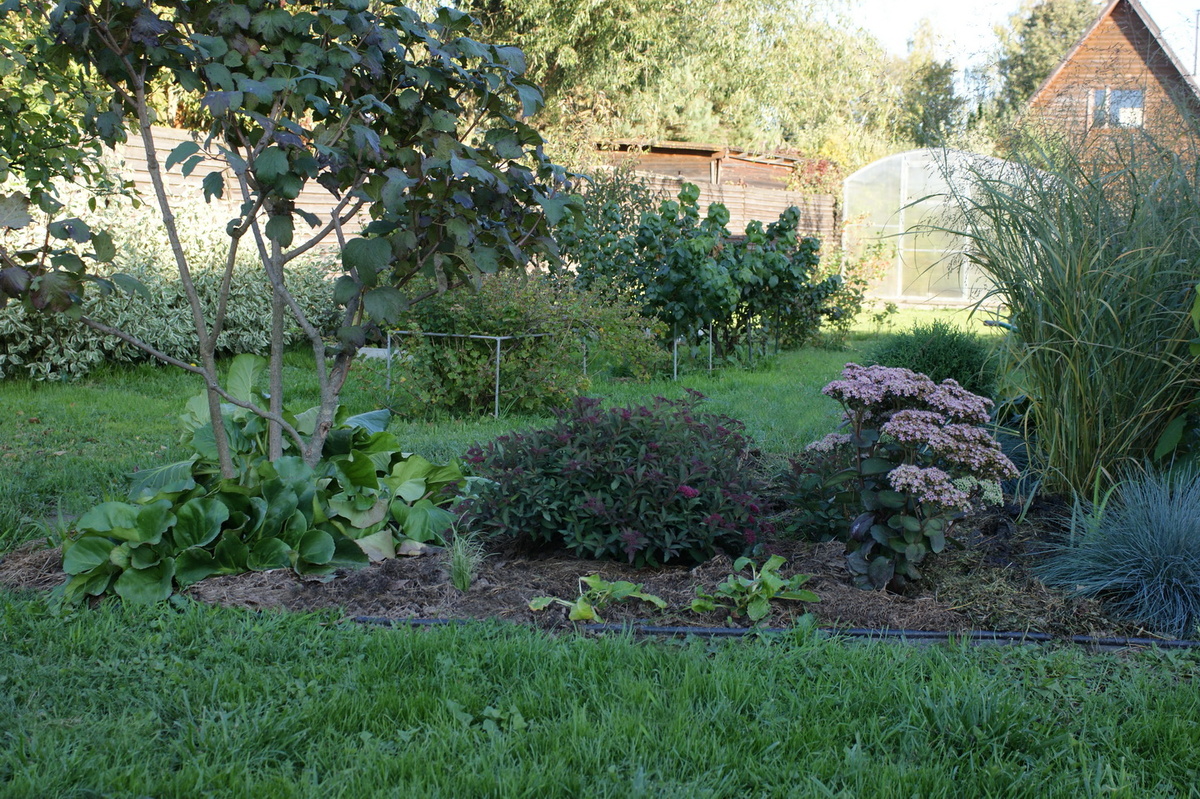 Калиновый цветник.