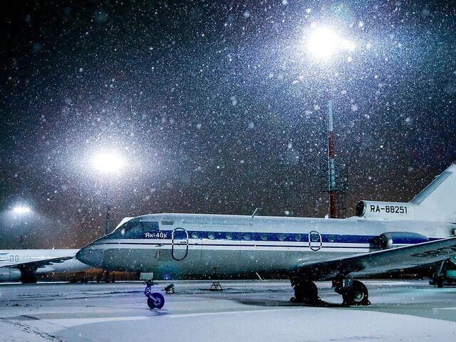    Фото: Москва 24/Лидия Широнина