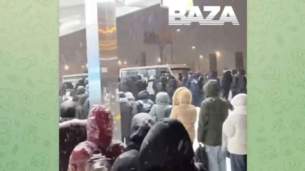    Телеграм-канал "Baza"