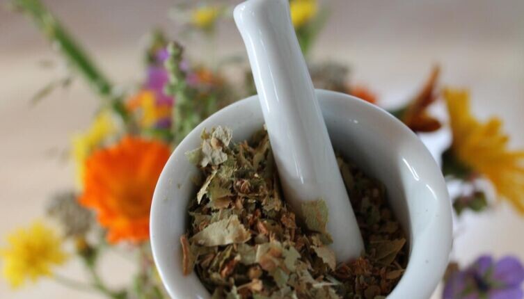    Как правильно использовать лекарственные травы? Фото: по лицензии CC0 Pxhere.com