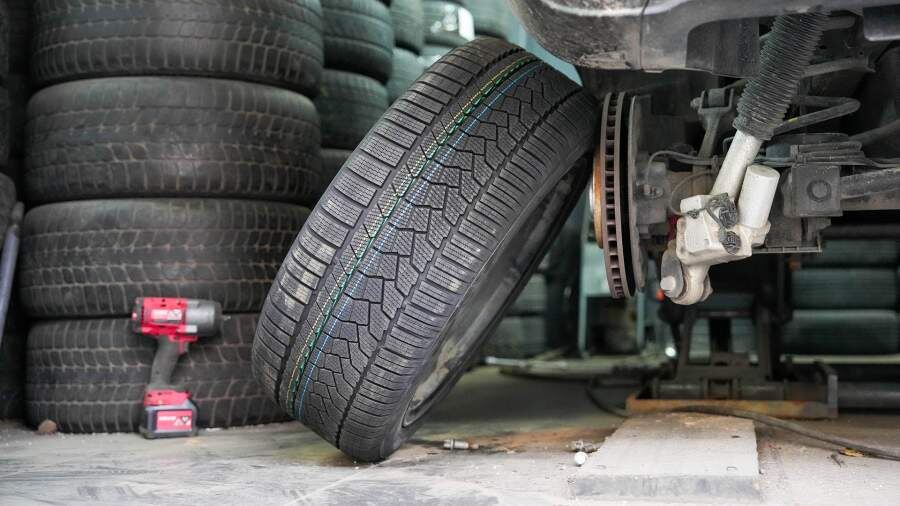    Фото: ИЗВЕСТИЯ/Дмитрий Коротаев