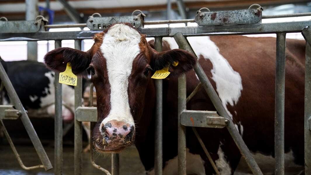    Фото: ИЗВЕСТИЯ/Анна Селина