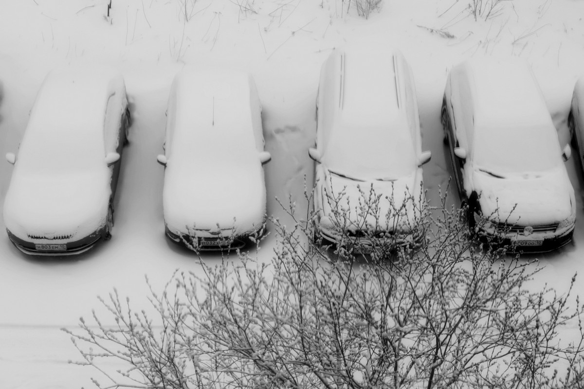    Снегопад. Фото: "Республика"/Максим Смирнов