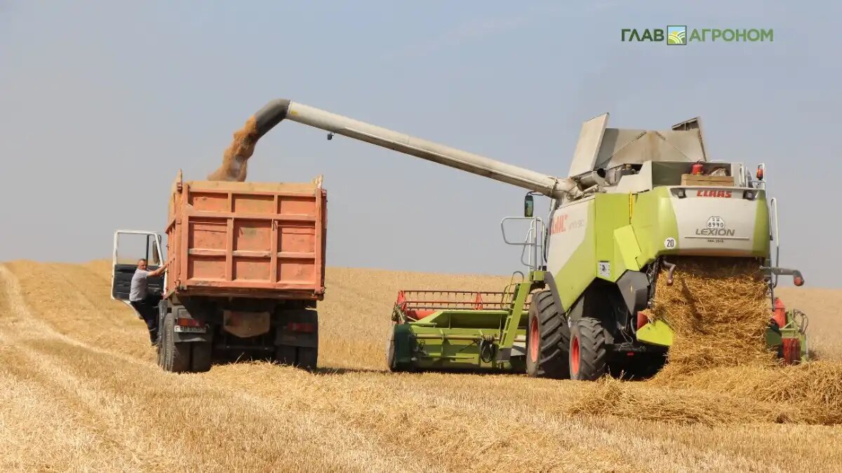 Фото:© Владимир Исаенко / Glavagronom.ru
Россия в июле-декабре снизила отгрузки зерна на экспорт почти на 18%