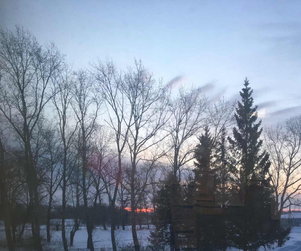 Вид из окна