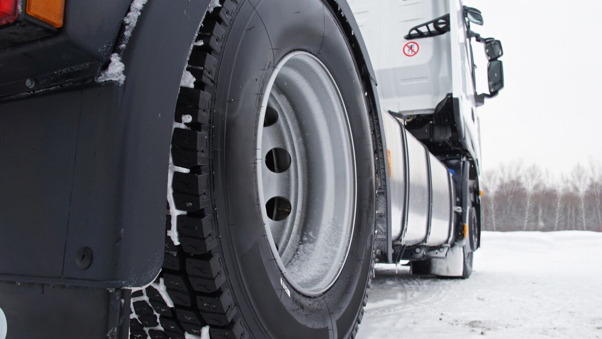    Фото: Vereshchagin Dmitry / Shutterstock / Fotodom