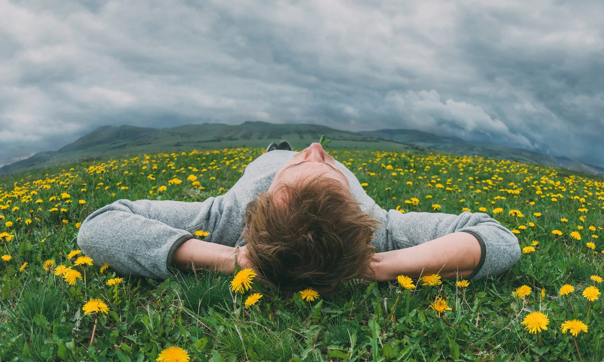 Источник: ted.com