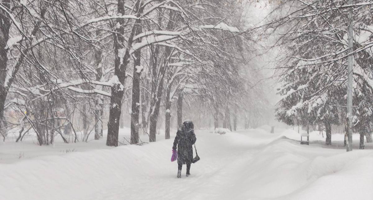    Фото: ПроГород