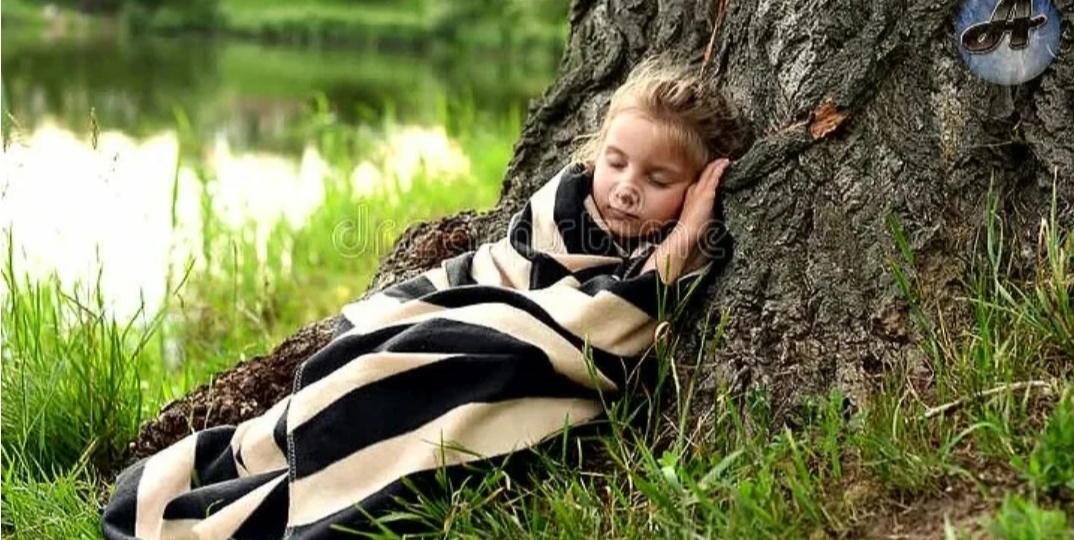 «Почему я написала о Дереве‑Хранителе»