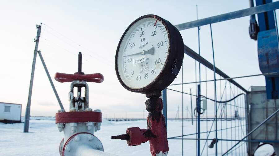    Фото: Global Look Press/Oleg Spiridonov