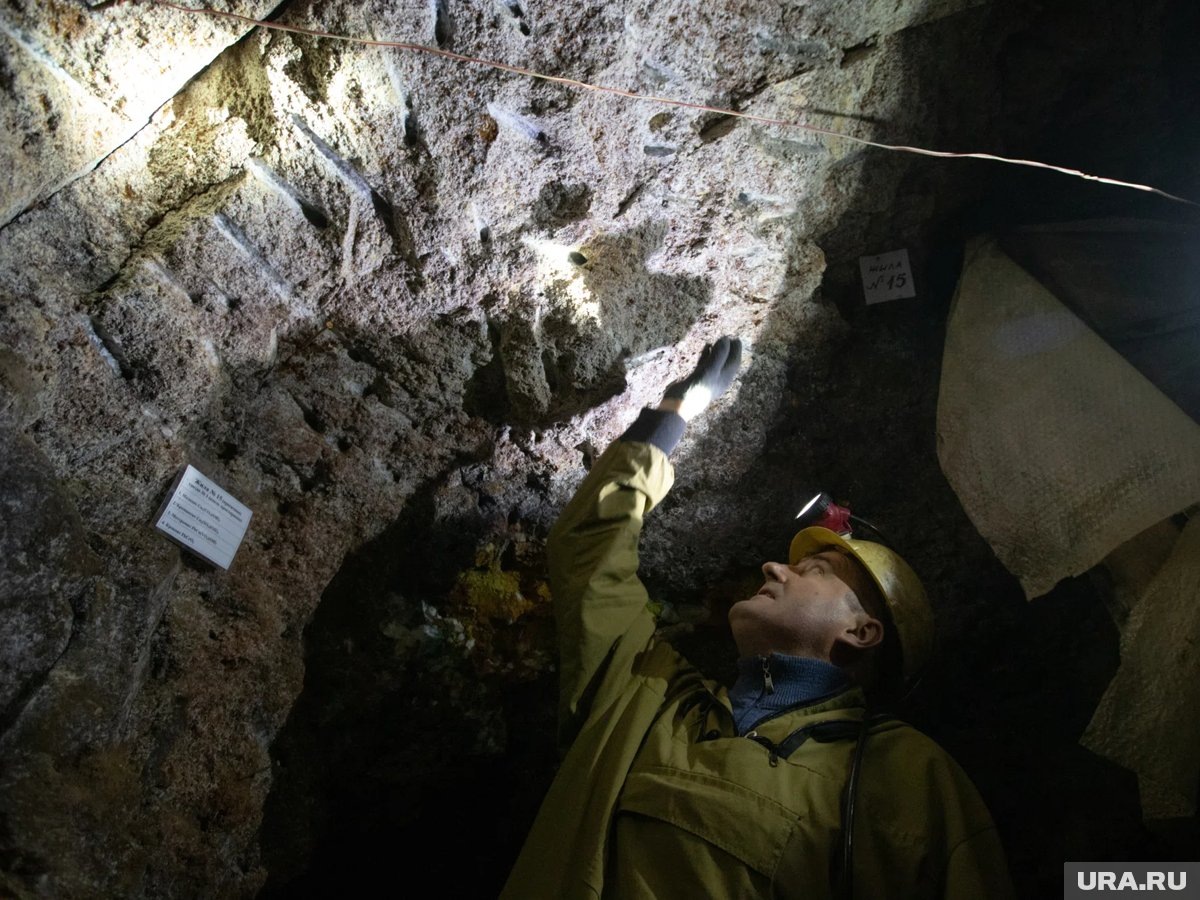     Чиновники задержаны за продажу лицензий на добычу