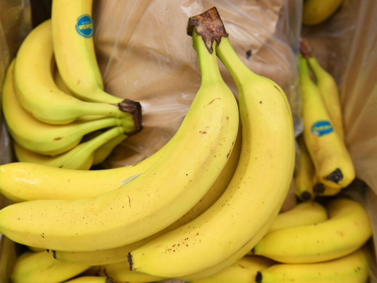    Бананы | © РИА Новости / Евгений Биятов