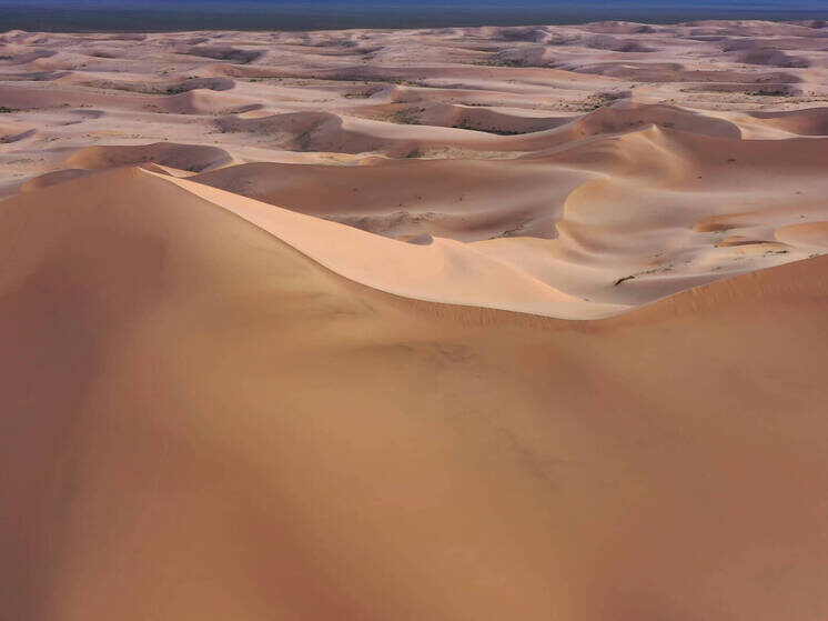     © IMAGO/Zoonar.com/Mikhail Kokhanc/ www.imago-images.de/ Global Look Press