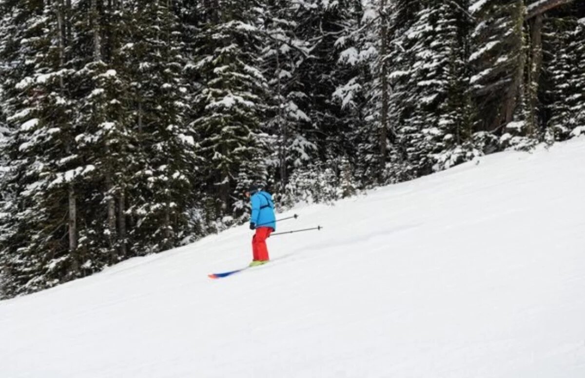    Хабаровчане завоевали 16 медалей на первенстве РФ по лыжному ориентированию