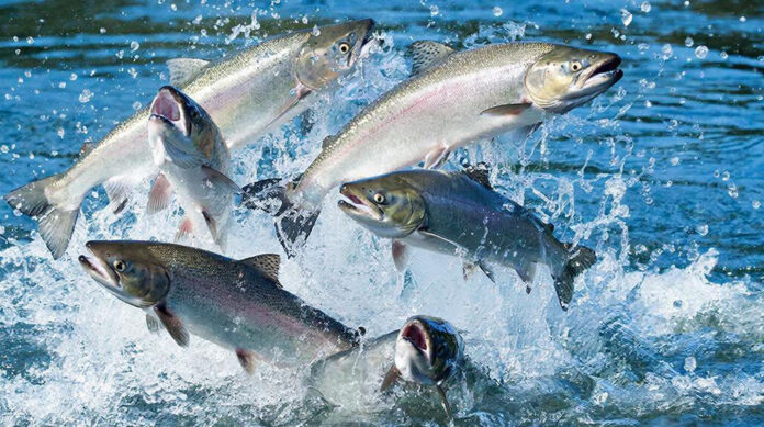 Изображение сгенерировано нейросетью ГигаЧат.