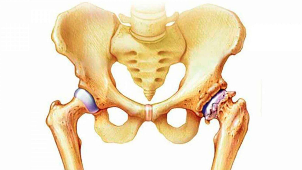 фото из открытого источника