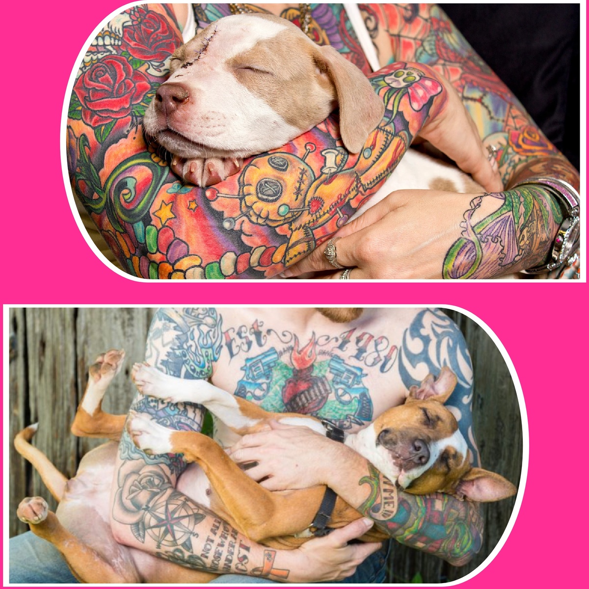 Брайан Батиста считает совершенно несправедливыми те стереотипы, которых просто пруд пруди вокруг татуированных людей и брошенных бойцовских собак